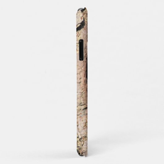 Baby Raccoons Peeking out of Tree Case-Mate iPhone Case (Achterkant/rechts)