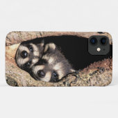 Baby Raccoons Peeking out of Tree Case-Mate iPhone Case (Achterkant (horizontaal))