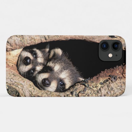 Baby Raccoons Peeking out of Tree Case-Mate iPhone Case (Achterkant (horizontaal))