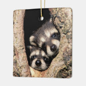 Baby Raccoons Peeking out of Tree Keramisch Ornament (Links)