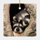Baby Raccoons Peeking out of Tree Keramisch Ornament (Achterkant)