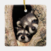Baby Raccoons Peeking out of Tree Keramisch Ornament (Voorkant)