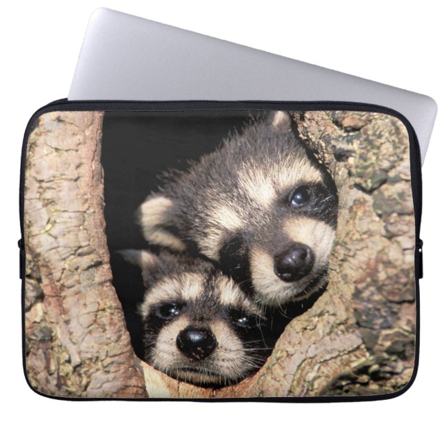 Baby Raccoons Peeking out of Tree Laptop Sleeve (Voorkant)