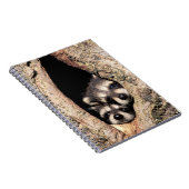 Baby Raccoons Peeking out of Tree Notitieboek (Rechterzijde)