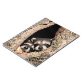 Baby Raccoons Peeking out of Tree Notitieboek (Linkerzijde)