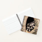 Baby Raccoons Peeking out of Tree Notitieboek (Binnen)