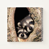 Baby Raccoons Peeking out of Tree Notitieboek (Achterkant)