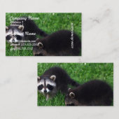 Baby Raccoons Visitekaartjes (Voorkant / Achterkant)