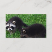 Baby Raccoons Visitekaartjes (Achterkant)