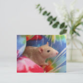 Baby Rat Briefkaart (Staand voorkant)