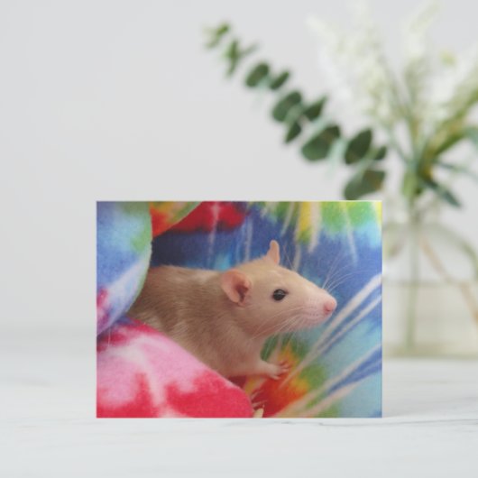 Baby Rat Briefkaart (Staand voorkant)