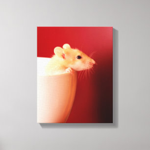 Baby Rat Canvas Afdruk