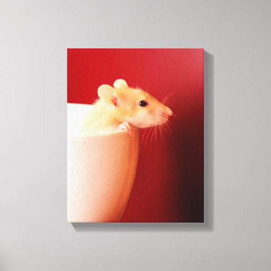 Baby Rat Canvas Afdruk (Voorkant)
