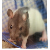 Baby rat douchegordijn (Voorkant)