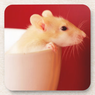 Baby Rat Drankjes Onderzetter