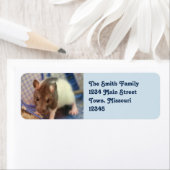 Baby rat etiket (Insitu)