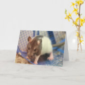 Baby rat kaart (Gele Bloem)