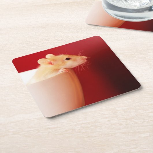 Baby Rat Kartonnen Onderzetters (Schuin)