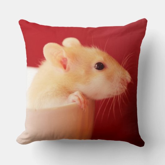 Baby Rat Kussen (Voorkant)