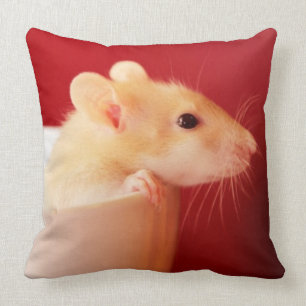 Baby Rat Kussen