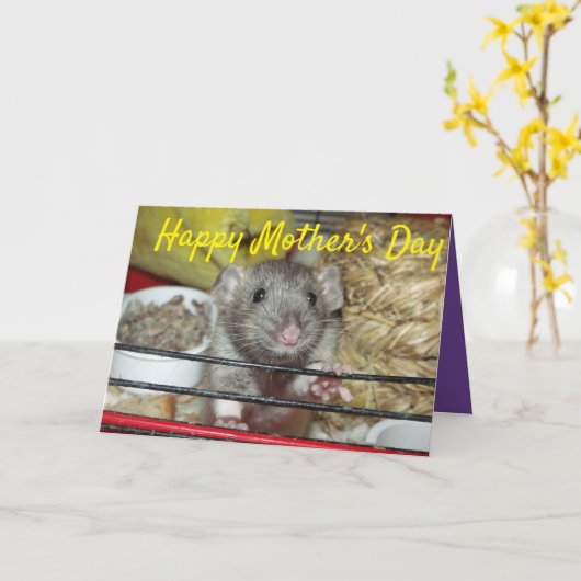 Baby rat Moederdag Kaart (Gele Bloem)