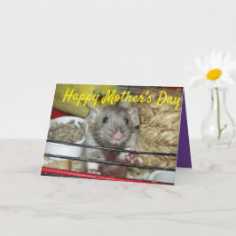 Baby rat Moederdag Kaart
