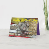 Baby rat Moederdag Kaart (Voorkant)