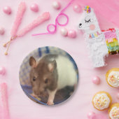 Baby rat papieren bordje (Feest)