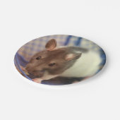 Baby rat papieren bordje (Gekanteld)