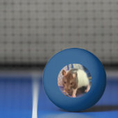 Baby rat pingpongbal (Net)