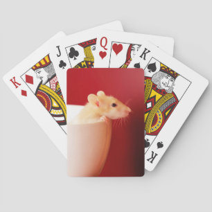 Baby Rat Pokerkaarten