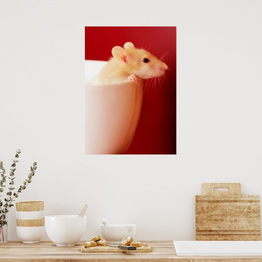 Baby Rat Poster (Keuken)
