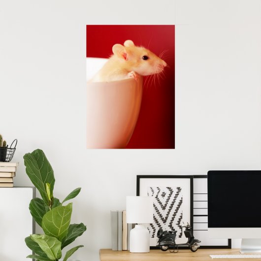Baby Rat Poster (Thuiskantoor)