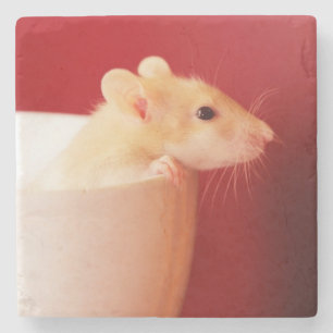 Baby Rat Stenen Onderzetter