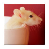 Baby Rat Tegeltje (Voorkant)