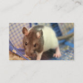 Baby rat visitekaartje (Achterkant)