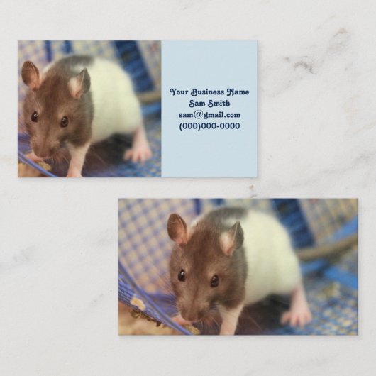 Baby rat visitekaartje (Voorkant / Achterkant)