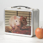 Baby Rats Lunch Box (In situ)