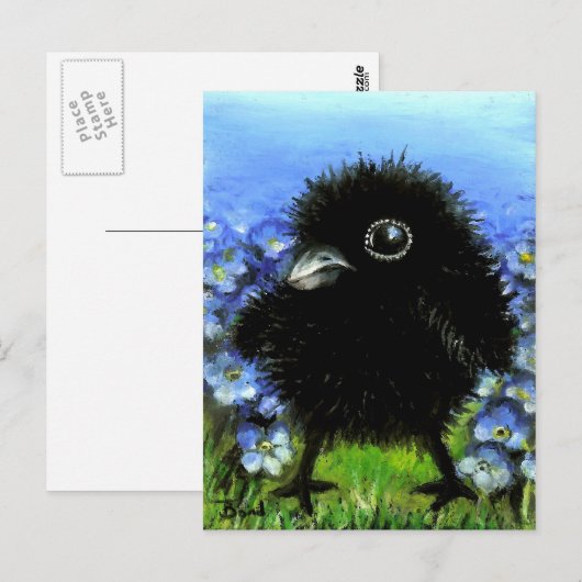 Baby raven briefkaart (Voorkant / Achterkant)