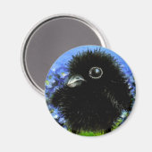 Baby raven magneet (Voorkant / Achterkant)
