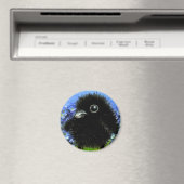 Baby raven magneet (Insitu (Vaatwasser))