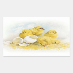  Baby Rechthoekige Sticker