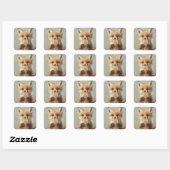 baby Red Fox eet spaghetti Vierkante Sticker (Vel)