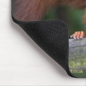 Baby Red Mousemat Muismat (Hoek)