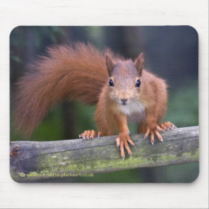 Baby Red Mousemat Muismat