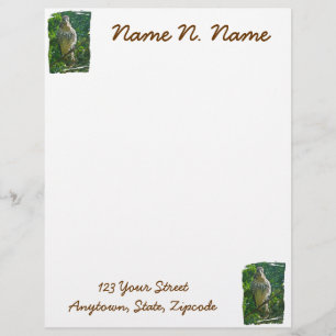 Baby Red Tailed Hawk Letterhead Stationery Briefhoofd