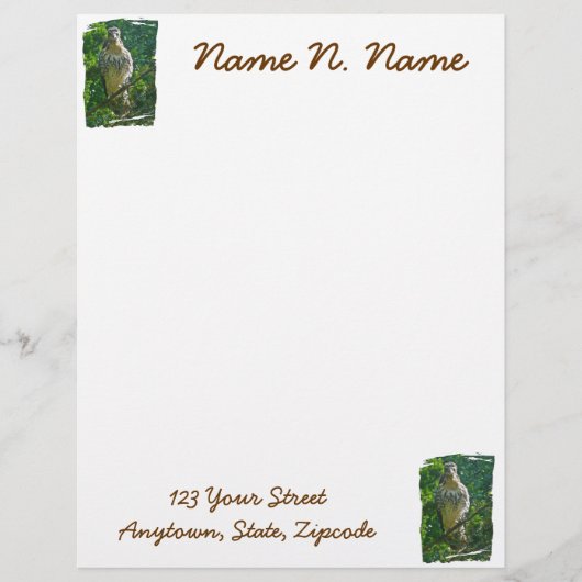 Baby Red Tailed Hawk Letterhead Stationery Briefhoofd (Voorkant)