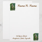 Baby Red Tailed Hawk Letterhead Stationery Briefhoofd (Voorkant / Achterkant)
