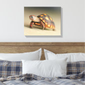 Baby Redfoot Tortoise Canvas Afdruk (Insitu (Slaapkamer))