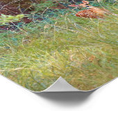 Baby-reekskalf in het wild in Texas Poster (Hoek)